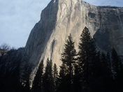 Yosemite National Park