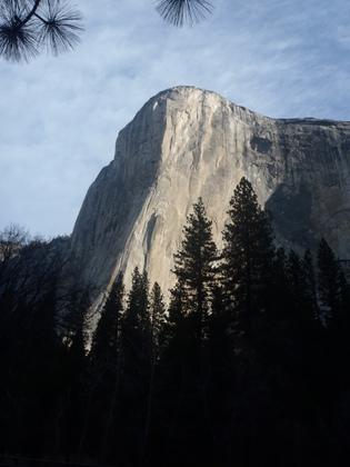 Yosemite National Park