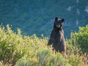 Mesa Verde National Park