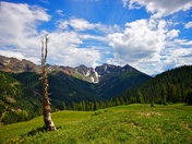 San Juan National Forest