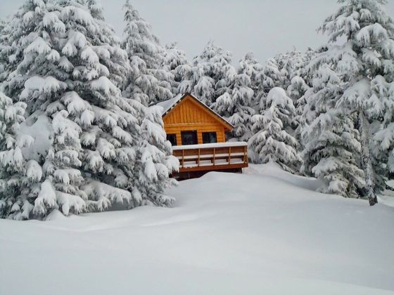 Dale Clemens Cabin