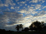 Everglades Natl.Park