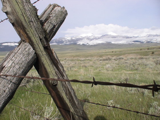 yellowstone