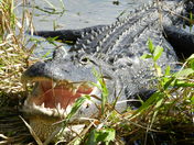 Everglades National Park