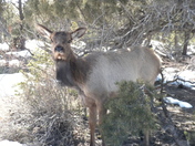 Grand Canyon National Park