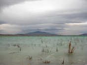 Ash Meadows National Wildlife Refuge