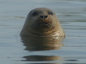 Point Reyes National Seashore