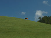 Point Reyes National Seashore