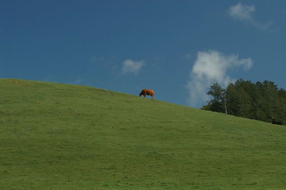 Point Reyes National Seashore