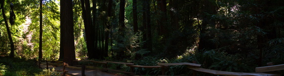 Muir Woods National Monument