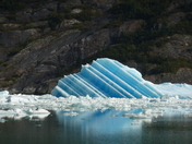 Tongass National Forest