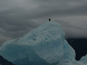 tongass National Forest