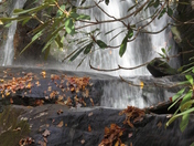 Great Smoky Mountain National Park