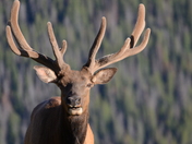 RMNP, Estes Park, Co
