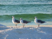 Gulf Islands National Seashore