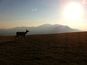 Rocky Mountain National Park