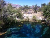 Ash Meadows National Wildlife Refuge
