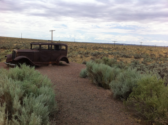 Petrified Forest