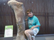 Dinosauer Monument National Park