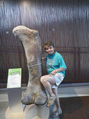 Dinosauer Monument National Park