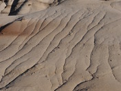 Bisti Wilderness