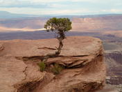 Canyonlands national park