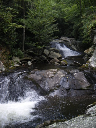 Smoky Mountains