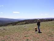 Fremont-Winema National Forest