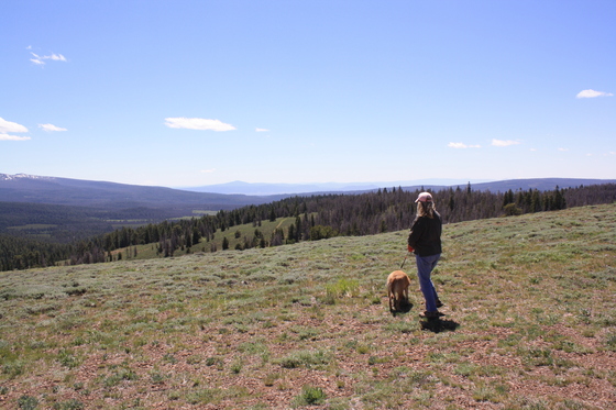 Fremont-Winema National Forest