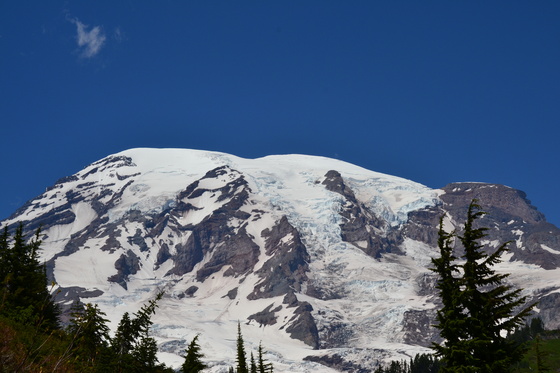 Mount Rainier 