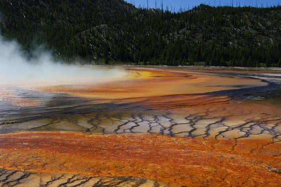 Yellowstone National Park