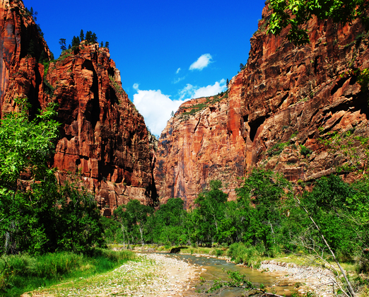 zion national park
