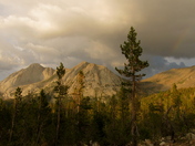 Yosemite National Park