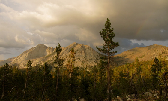 Yosemite National Park