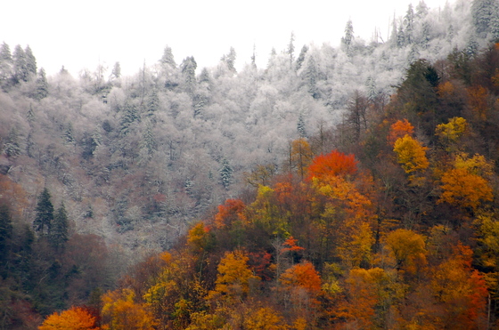 Great Smoky Mountains National Park