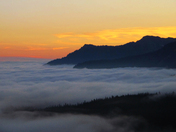 Mt. Rainier National Park