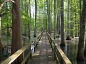 Wheeler National Wildlife Refuge