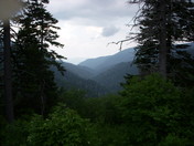 Great Smokey Mountains National Park