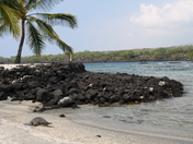 Pu'uhonua O Honaunau