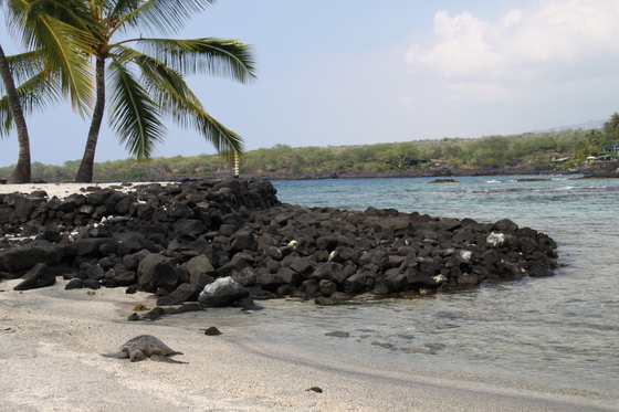 Pu'uhonua O Honaunau