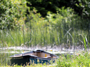 Peaceful Summers Day