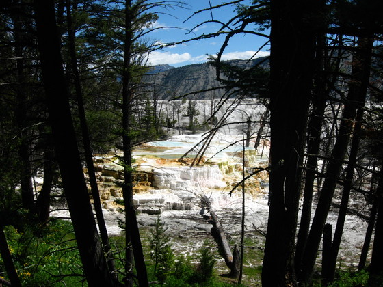 Yellowstone National Park