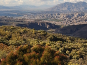 San Bernardino National Forest