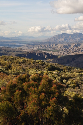 San Bernardino National Forest