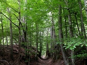 Natchez Trace Parkway