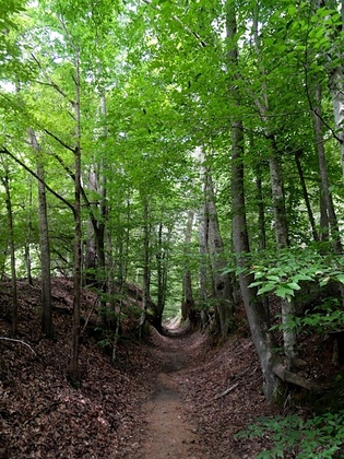 Natchez Trace Parkway