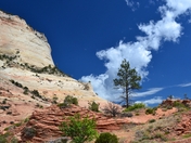 Zion National Park