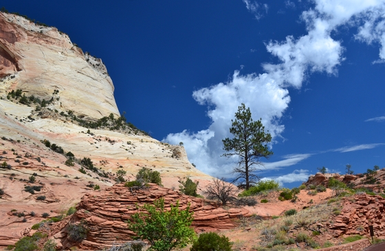 Zion National Park