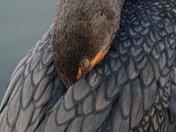 Everglades National Park