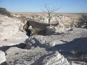 Petrified Forest AZ.